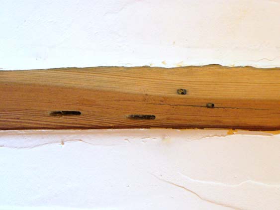 trou2.jpg