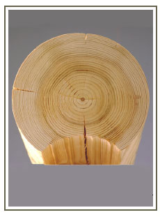 RL210-eng.jpg