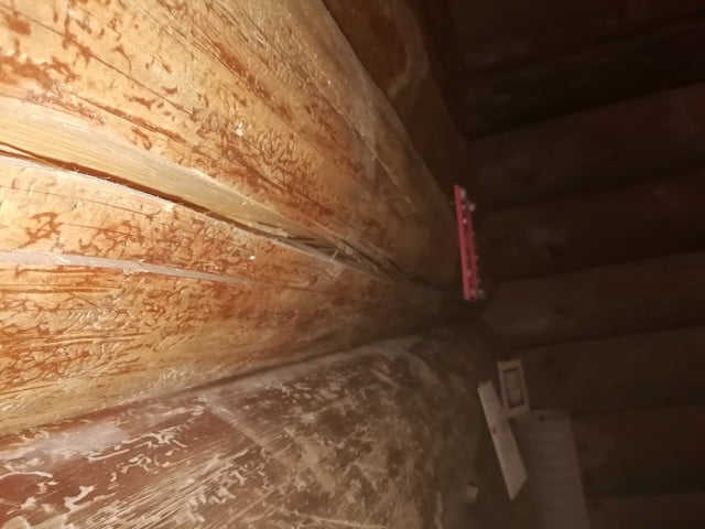 81706299-451077192226777-7130895074396733440-n.jpg