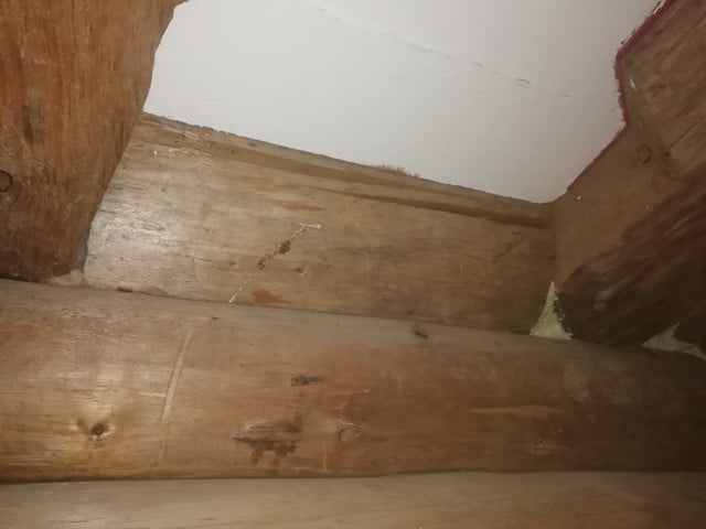 81439154-1064209000583636-825785308938240000-n.jpg