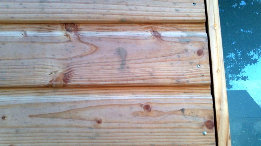 100_0156.JPG
