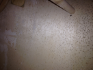 1498176738-img-1276.png