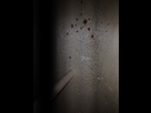 1498176748-img-1286.png