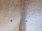 1498217865-img-1307.png