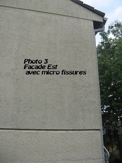 Photo3