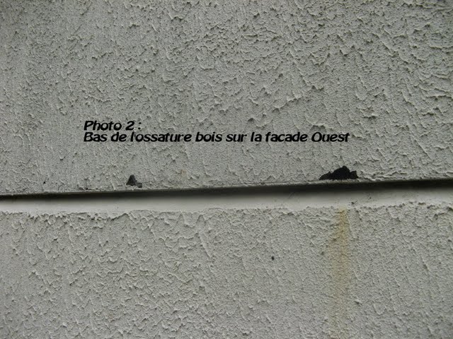 Photo2