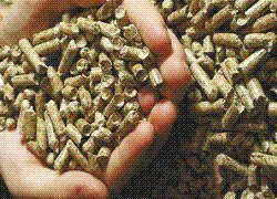 image002.gif